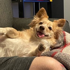 Meet your Posher, Katie